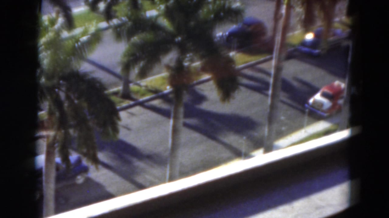 1975 Florida 8mm frame looking down from above at palm trees, a paved street, and parked cars near a window or balcony edge.