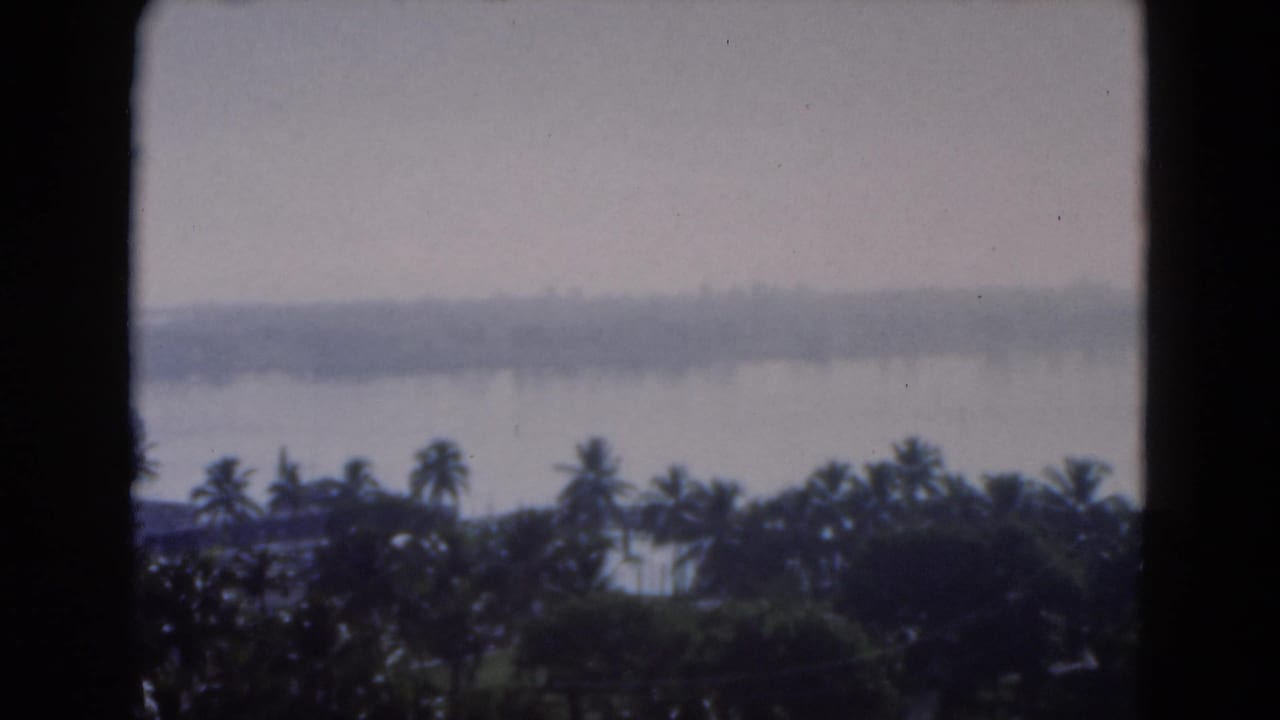 1975 Florida 8mm frame of a hazy waterfront vista, with palm trees in the foreground and a low distant shoreline across the water.
