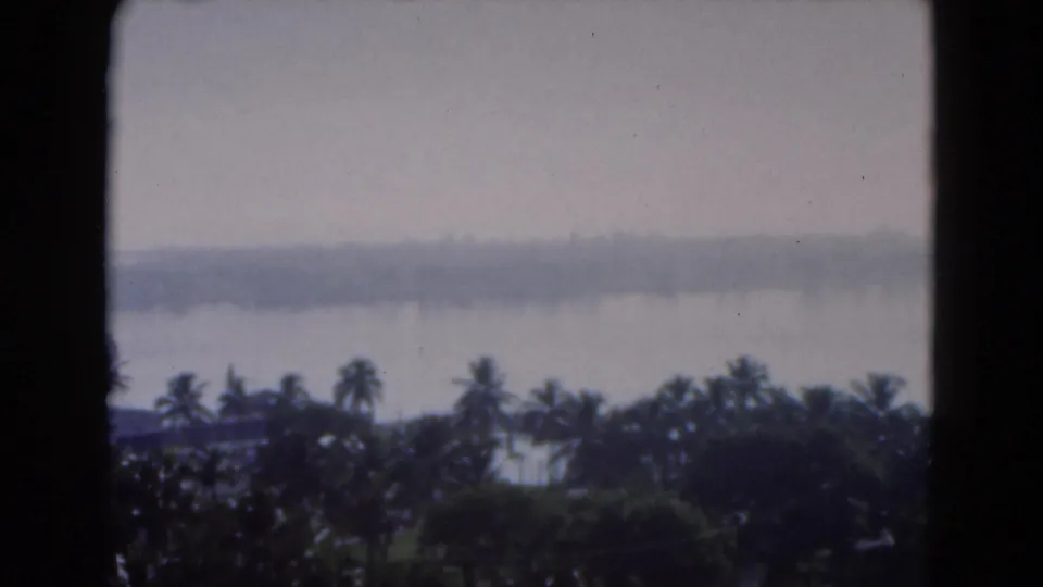 1975 Florida 8mm frame of a hazy waterfront vista, with palm trees in the foreground and a low distant shoreline across the water.