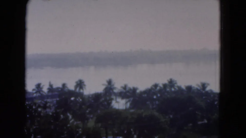 1975 Florida 8mm frame holding on a hazy waterfront view with palm crowns in the foreground and a faint shoreline in the distance.