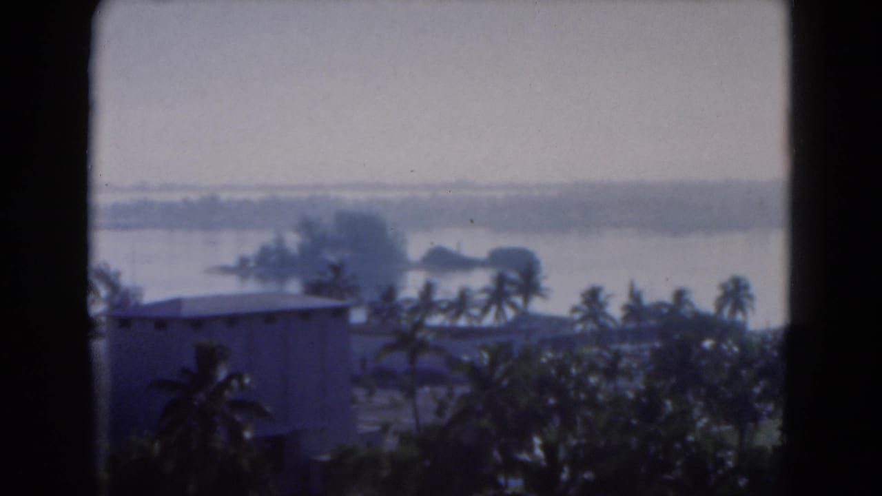 Florida home-movie view of palms, water, shoreline, and low waterfront buildings in soft 8mm color.