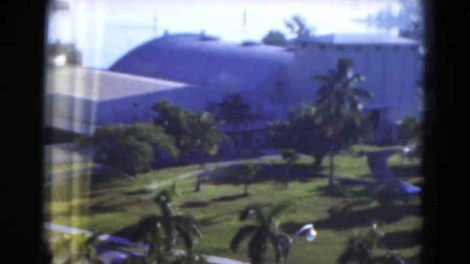 Soft 8mm view from inside toward a tropical Florida garden, palm trees, walkways, and a large domed structure.