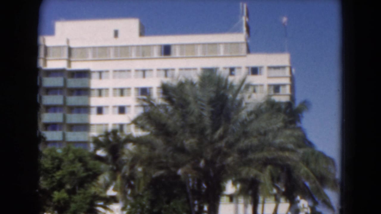 White multi-story building behind palm trees under a blue sky.