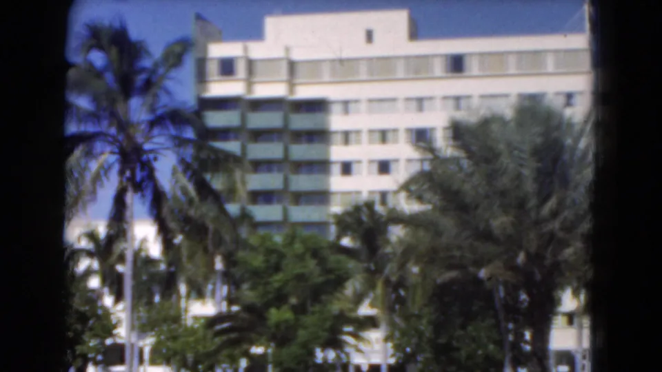 1975 Florida home-movie view of a tall palm and white building facade, with street-level shade and greenery below.