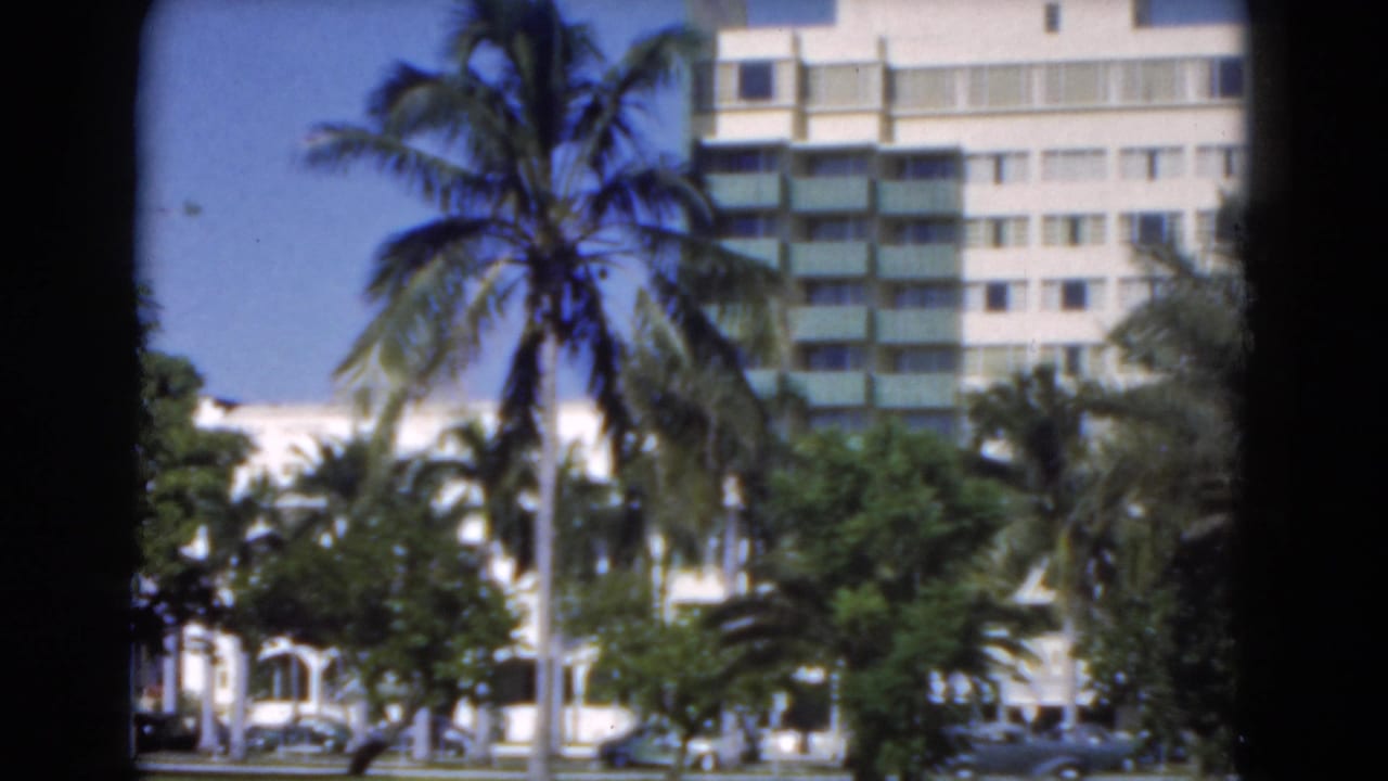 Palm trees and a multi-story building seen through a soft 8mm frame.