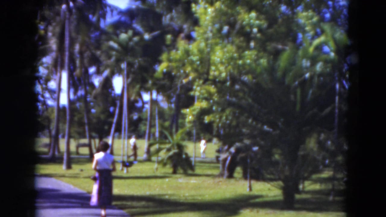 Woman walking along a paved path through a palm-lined tropical park.