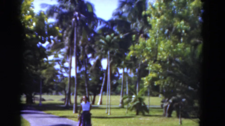 1975 Florida home-movie view across a tropical park, with a woman partly visible near the path and palms filling the background.