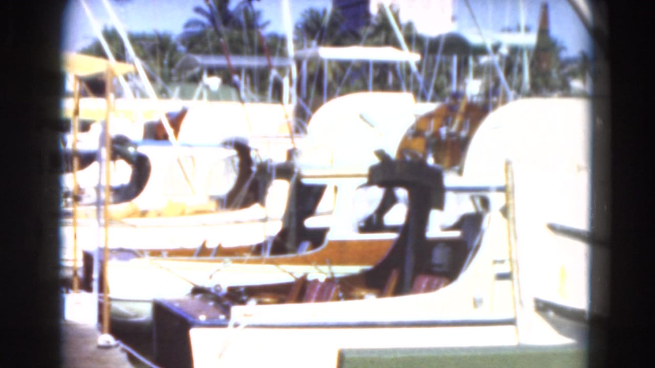 Docked boats with white hulls, masts, and palm trees behind them.