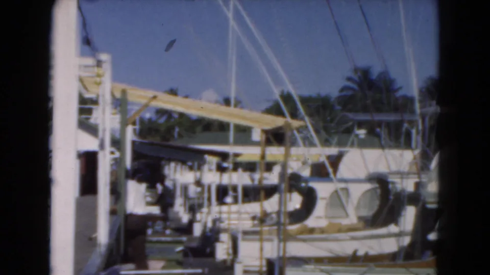 1975 Florida marina view with boat rigging, dock structures, palm trees, water, and a distant building in soft 8mm focus.