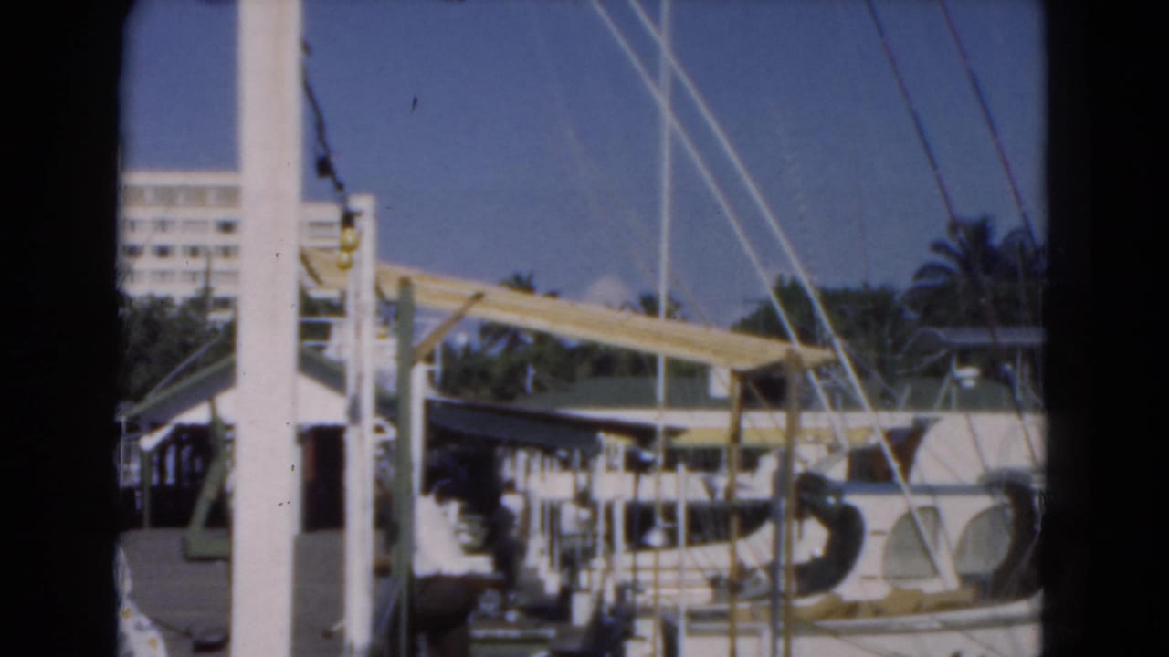 Docked boats and marina structures with palm trees and a white building in the background.