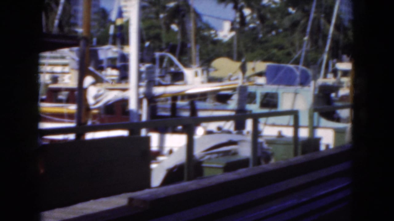 Moored boats and dock railings seen from a shaded vantage point.