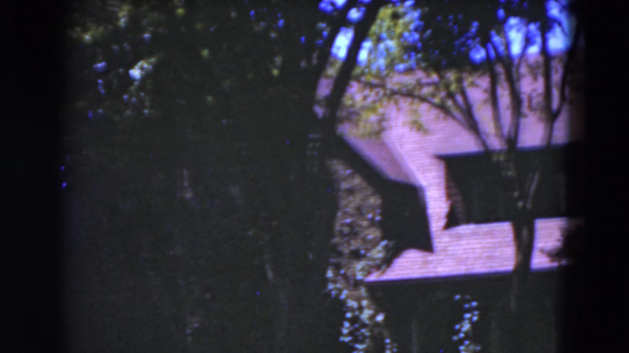 Partial house roof and shaded wall seen through trees and dark foliage.
