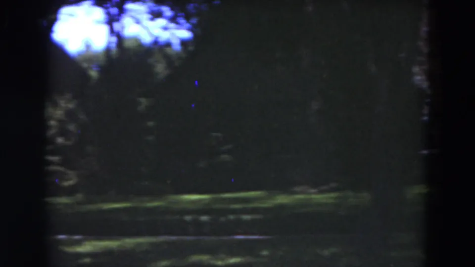 1975 Florida 8mm frame showing park-like grounds under trees, with soft focus, dark foliage, and a strip of sunlit grass.