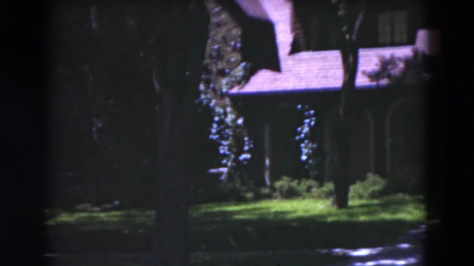 1975 Florida 8mm frame with a partial house exterior behind tree trunks, shaded foliage, sunlit lawn, and a reflective paved edge.