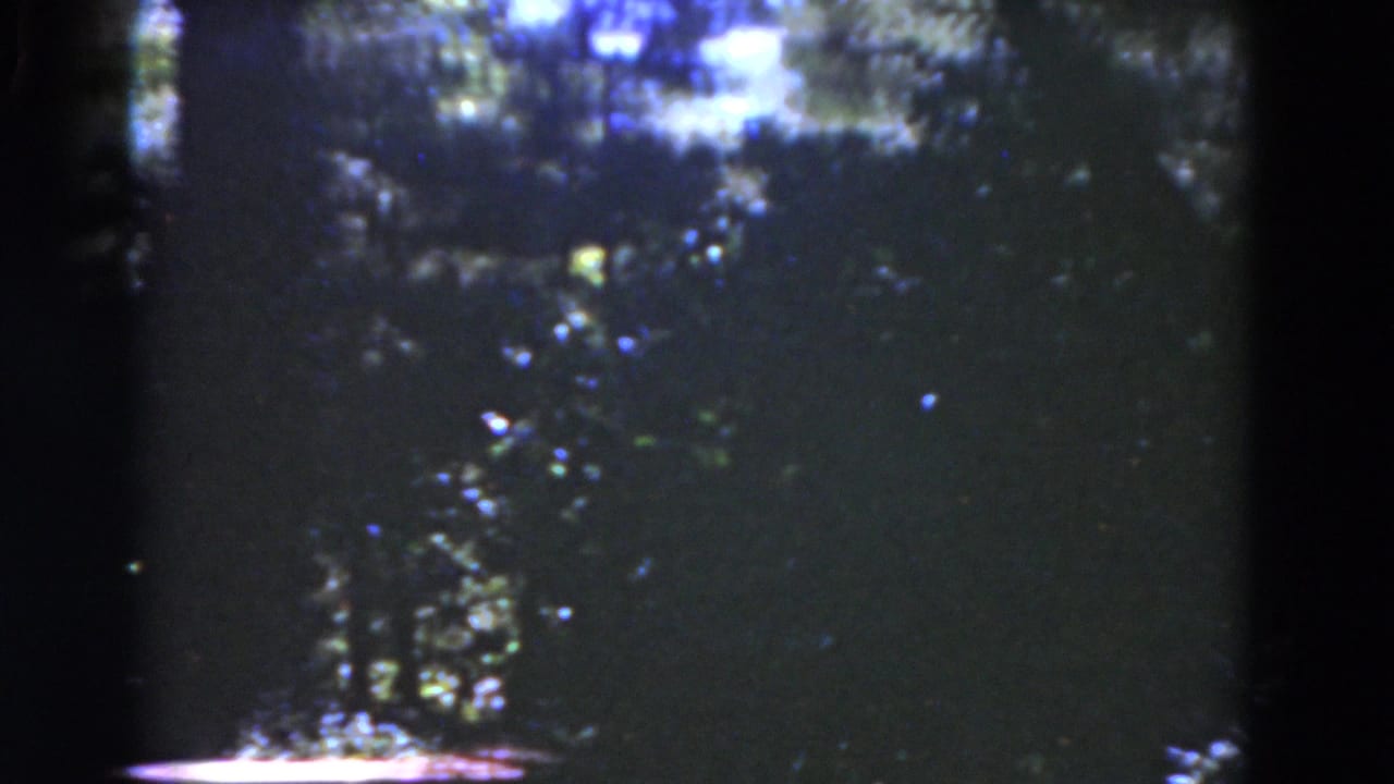 A shaded Florida garden view shows dense foliage, tree trunks, and bright patches of sunlight on 8mm film.