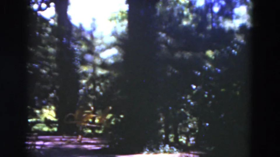 A softly focused 1975 Florida garden path appears under trees, with deep shade and small sunlit areas.