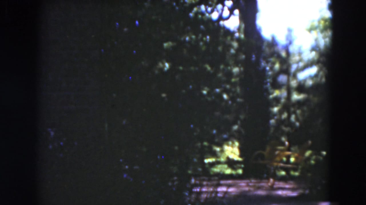 Shaded garden path with trees and bright patches of sunlight.