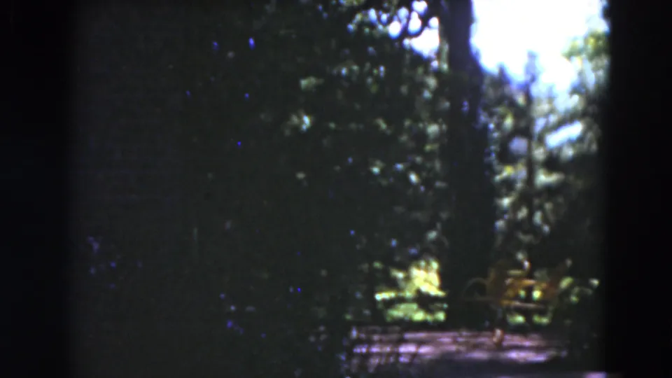 A soft 8mm frame shows a shaded Florida garden path with trees and foliage in 1975.