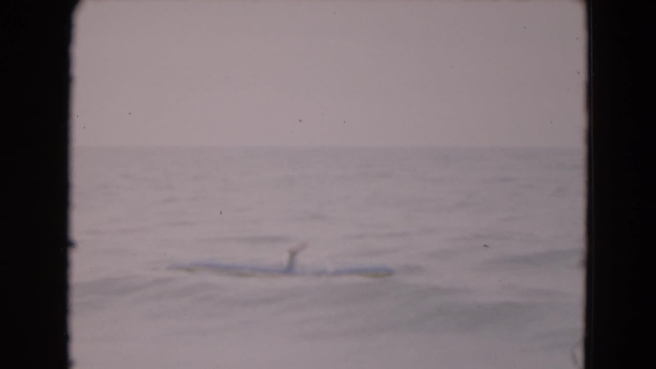Inflatable raft floating low in the ocean with a person partly visible near the center.