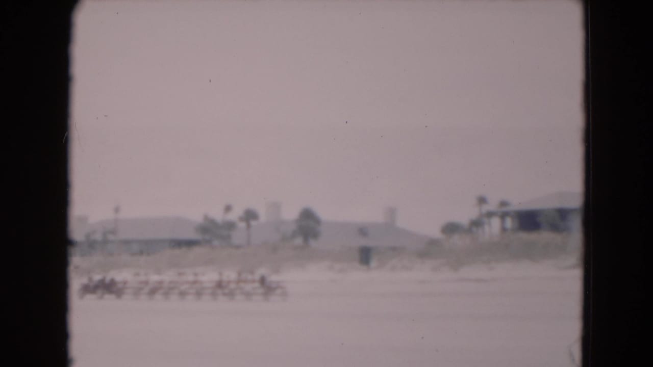 Row of seated people on a sandy beach with palm trees and low buildings in the distance.