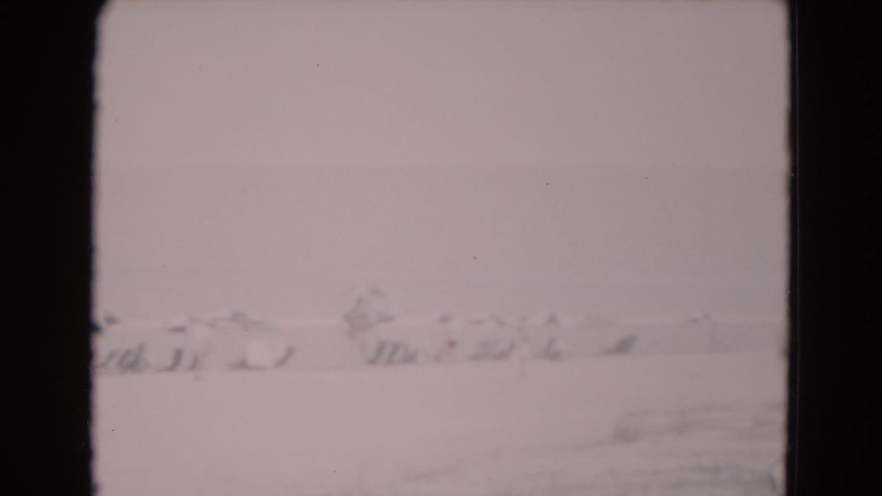 Washed-out 8mm frame from Florida in 1975, showing a pale wintry-looking view with blurred low forms near the horizon.