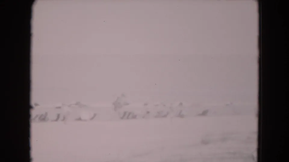 Washed-out 8mm frame from Florida in 1975, showing a pale wintry-looking view with blurred low forms near the horizon.