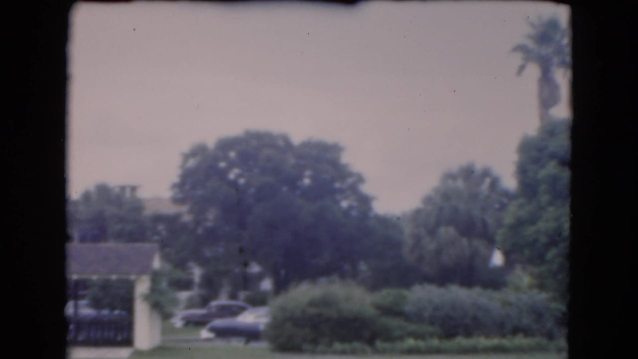 1975 Florida residential exterior with palms, shrubs, a low roofline, white posts, and parked automobiles in soft 8mm color.