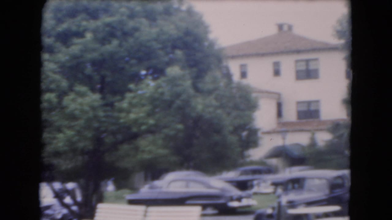 Tree-lined street with parked cars and a large residential building behind the foliage.