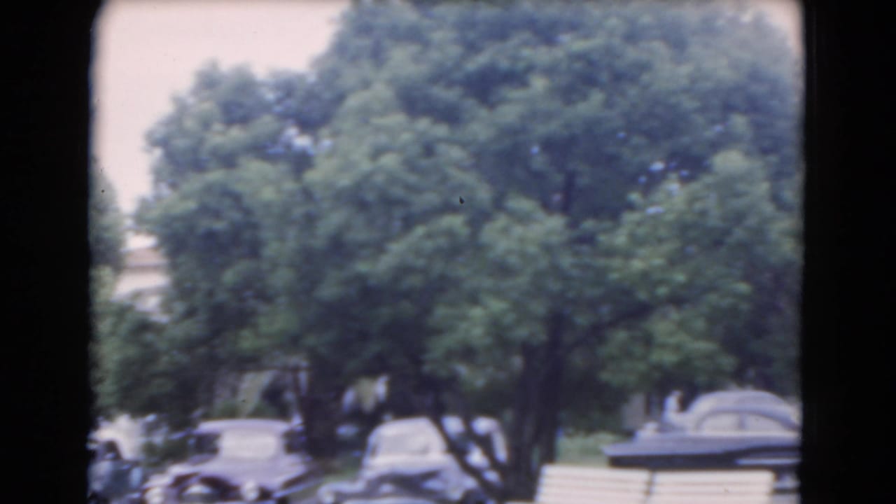 1975 Florida home-movie frame with classic cars partially obscured by dense roadside trees in a suburban setting.