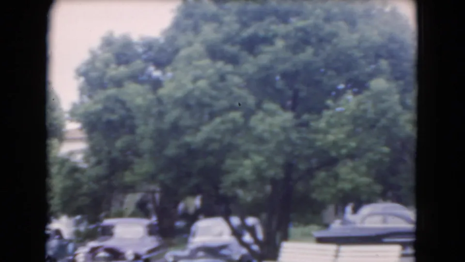 1975 Florida home-movie frame with classic cars partially obscured by dense roadside trees in a suburban setting.
