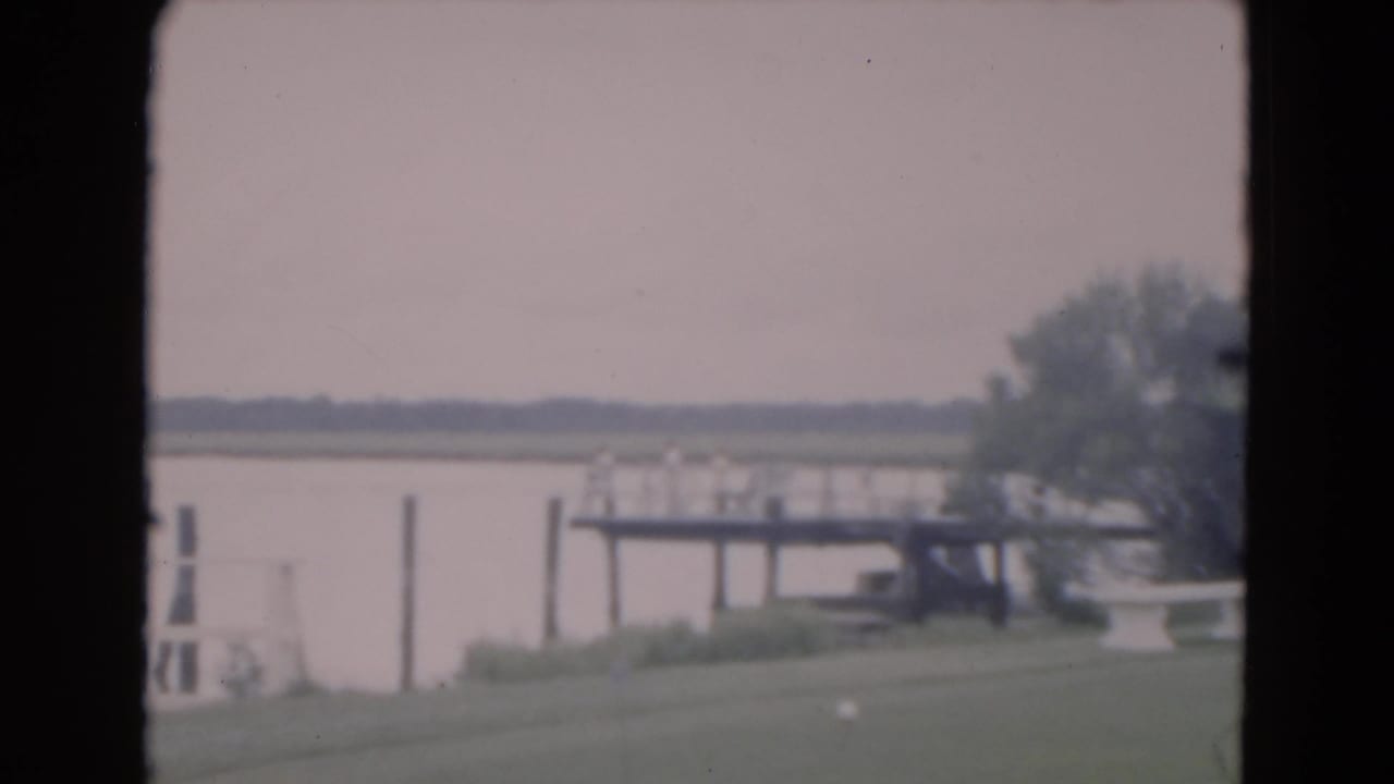 Wooden dock beside a calm lake with grass and distant shoreline.