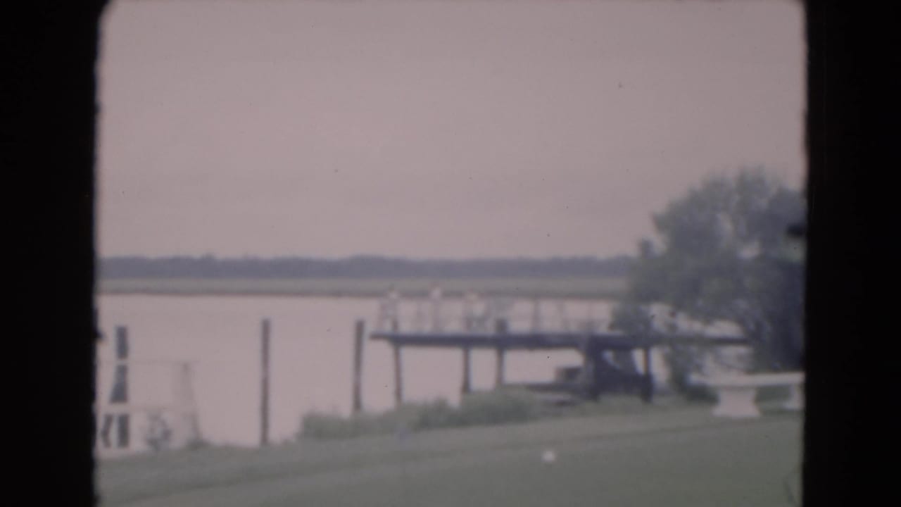 Lakeside dock and still water framed by grass and trees.