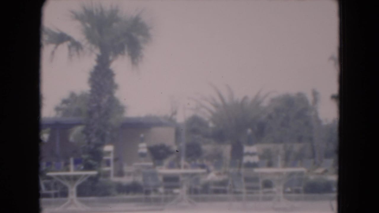 Palm trees and patio furniture seen through a dark window frame near a beach area.