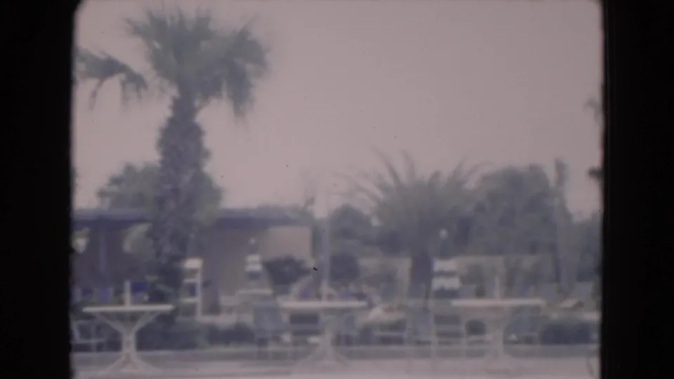 1975 Florida 8mm view through a window toward palm trees, patio seating, lawn, and a hazy beach beyond.