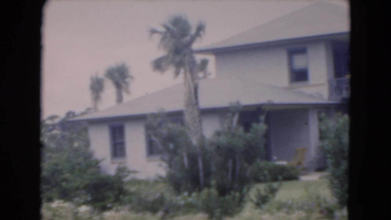 Low residential building with palms and shrubs seen across a lawn.