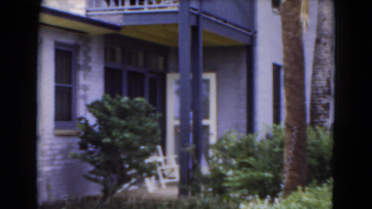 Porch area of a house with shrubs, palm trunk, open door, and a white chair.