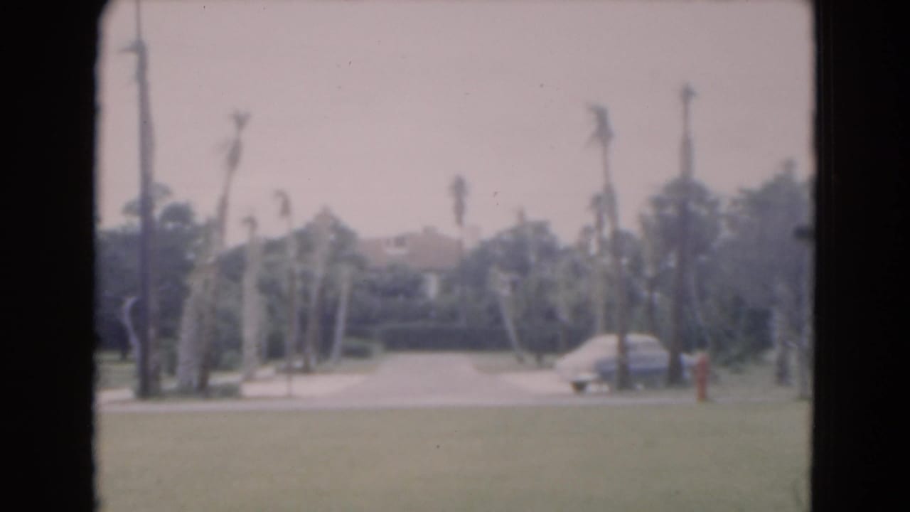 Palm-lined paved road with lawn, parked car, and soft 8mm gate edges.