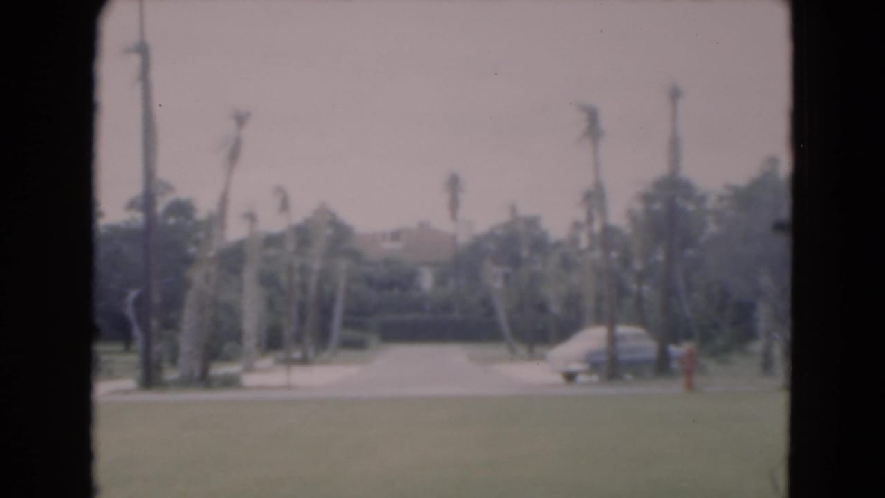 1975 Florida street view with palms, a parked car near the curb, lawn foreground, and faded 8mm color.