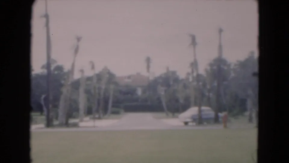 1975 Florida street view with palms, a parked car near the curb, lawn foreground, and faded 8mm color.
