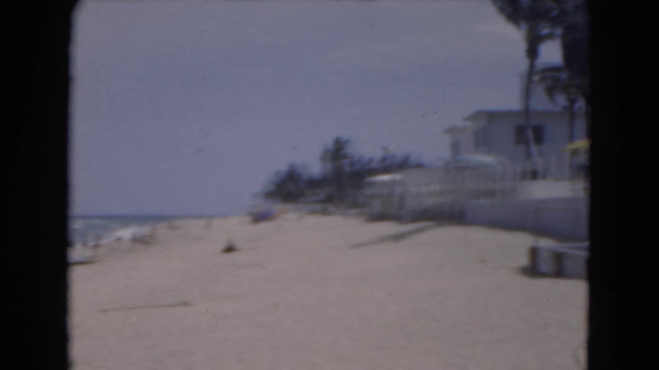 Sandy beach with surf, palm trees, and low beachfront buildings in soft focus.