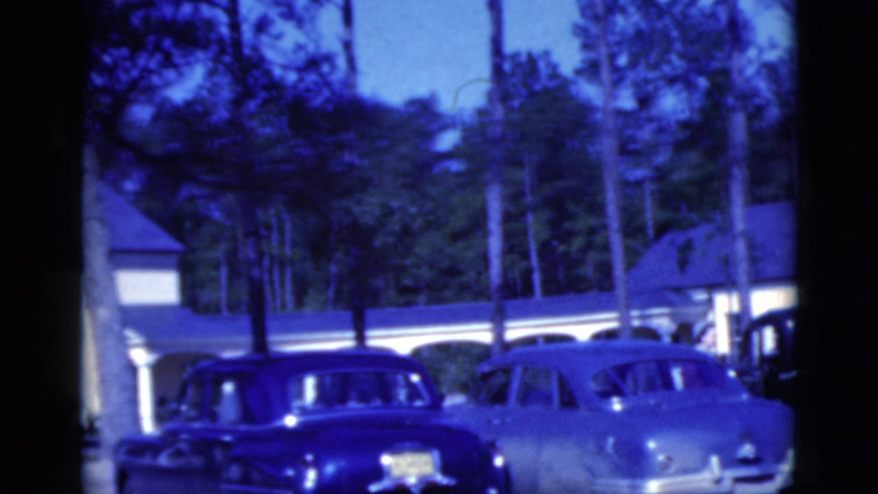 Parked cars in front of a white building with tall pine trees at dusk.