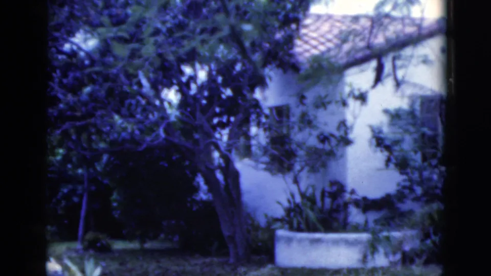 A garden and stucco house exterior remain in view, with mature trees, shrubs, planter boxes, and tile roofing visible in the Florida home-movie clip.