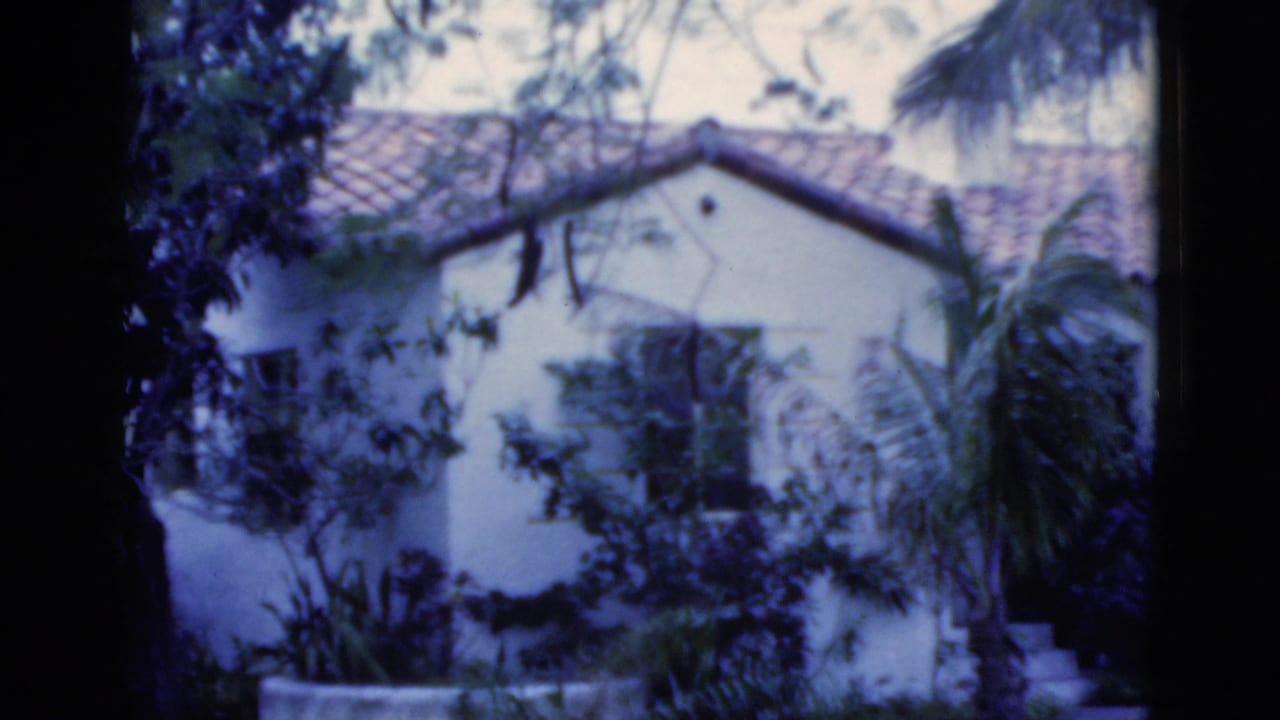 White stucco house and tropical garden seen through dark tree trunks, with no person centered.