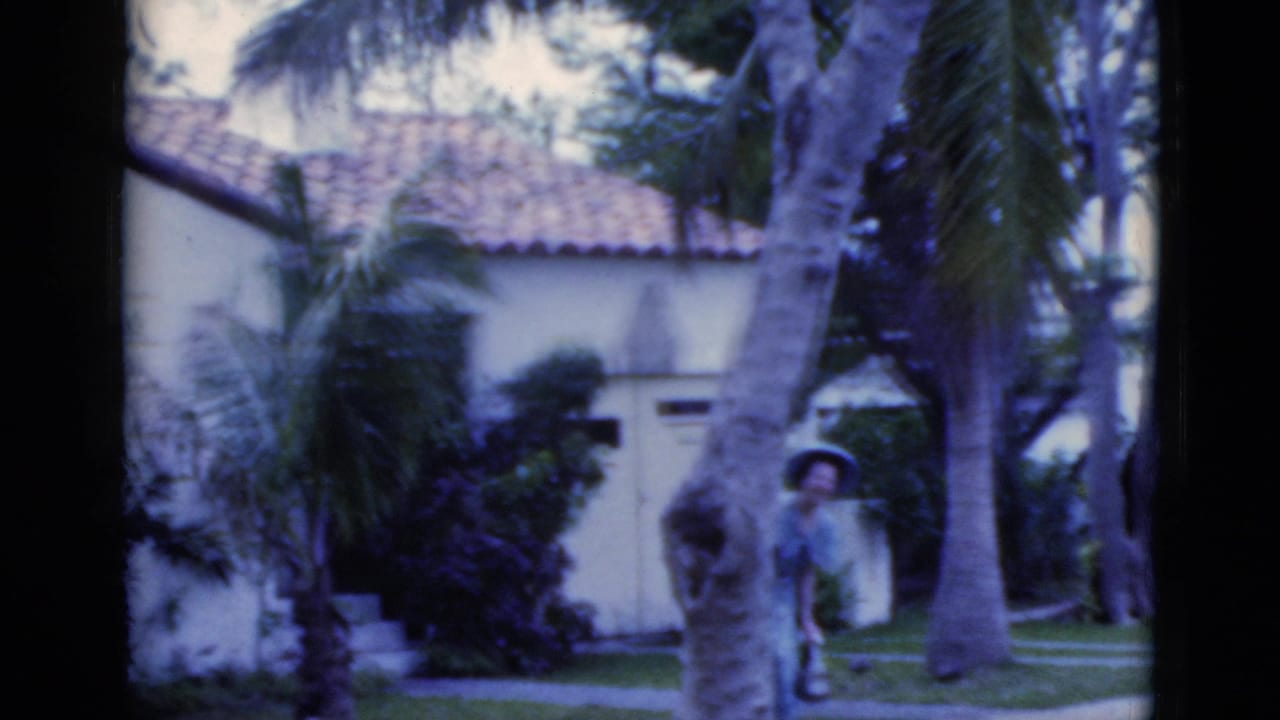 Woman in a wide-brimmed hat peeking from behind palm trees near a stucco building.