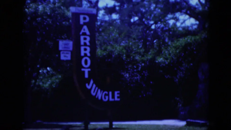 A Parrot Jungle sign stands in a heavily planted outdoor area, captured with blue-purple 8mm color shift and soft focus.