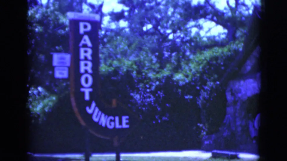 The Parrot Jungle sign remains centered in a tropical garden scene, with surrounding trees, hedges, and the aged color cast of 8mm film.