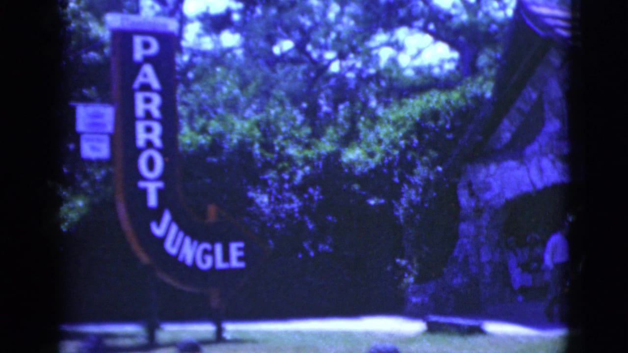 Curved Parrot Jungle entrance sign beside trees and a stone attraction building.
