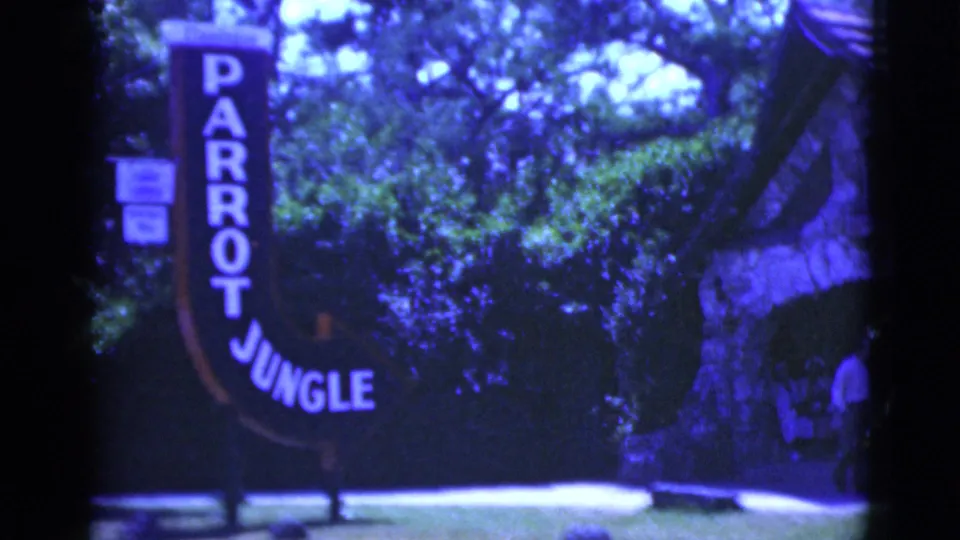 1975 Florida 8mm frame showing the Parrot Jungle entrance sign, trees, lawn, and part of a stone building.