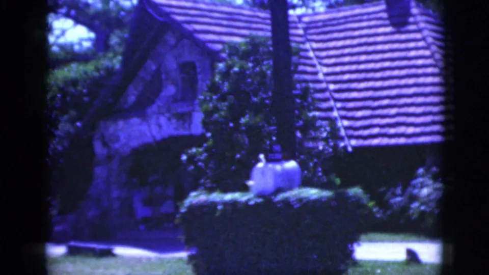 The final frame shows the Parrot Jungle entrance building area, with roof tiles, hedges, lawn, and a path in blue-shifted 8mm color.