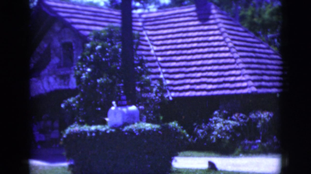 Tiled-roof structure behind shrubs with dark 8mm frame edges and blue color cast.